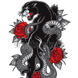 Meet your Posher, Apollo